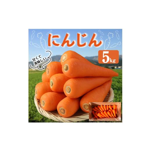 ふるさと納税 熊本県 西原村 にんじん 5kg