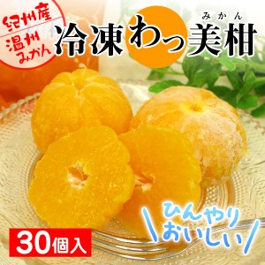 送料無料 冷凍みかん 冷凍わっ美柑 30個入り 和歌山 のしOK  温州みかん 然まるごとアイス グルメ ギフト お歳暮