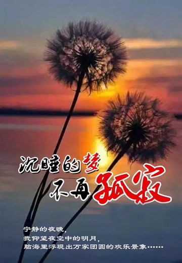 【電子書】沉睡的梦不再孤寂