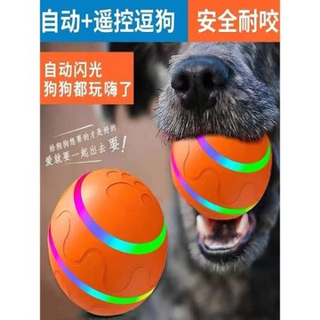 寵物智能玩具遙控發光溜溜球老鼠逗狗貓兔子耐咬磨牙貓咪防水充電