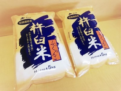 特別栽培「きなうす米」ふっくりんこ10kg×12回