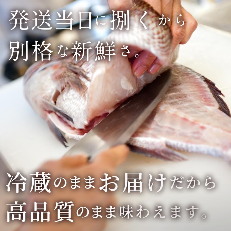 ＜送料無料＞南伊勢ブランド真鯛 １kg〜1.2kg