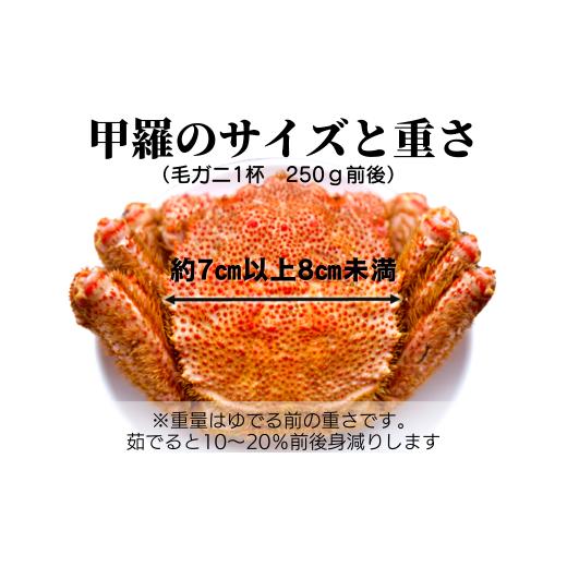 ふるさと納税 岩手県 大槌町 三陸産 三陸活毛ガニ 250g×3杯（3尾）　天然 国産 冷蔵 三陸直送 濃厚 かに 蟹 カニ 毛ガニ 毛蟹 毛が…