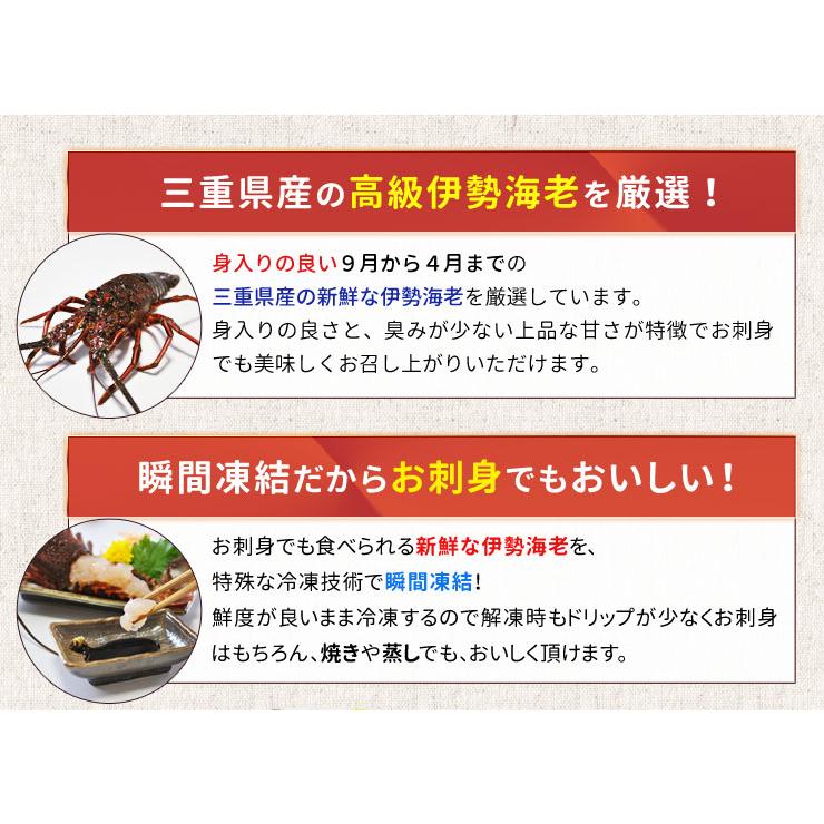 三重県産 伊勢海老詰合せ １尾で約３００ｇ 送料無料 刺身用瞬間冷凍 伊勢エビ あすつく対応 p2 お歳暮 ギフト