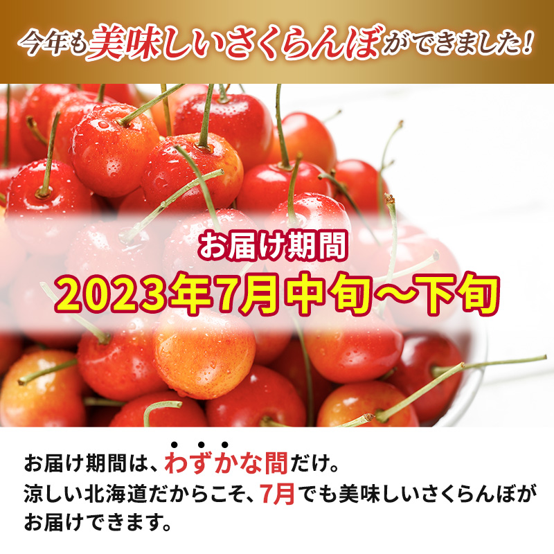 先行受付 2024年7月から出荷 北海道 仁木町産 サクランボ 紅秀峰 800g 厳選品  松山商店