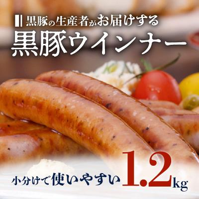 ふるさと納税 鹿児島市 種豚場がお届けする鹿児島伝統の黒豚　黒胡椒の効いた黒豚ウインナー