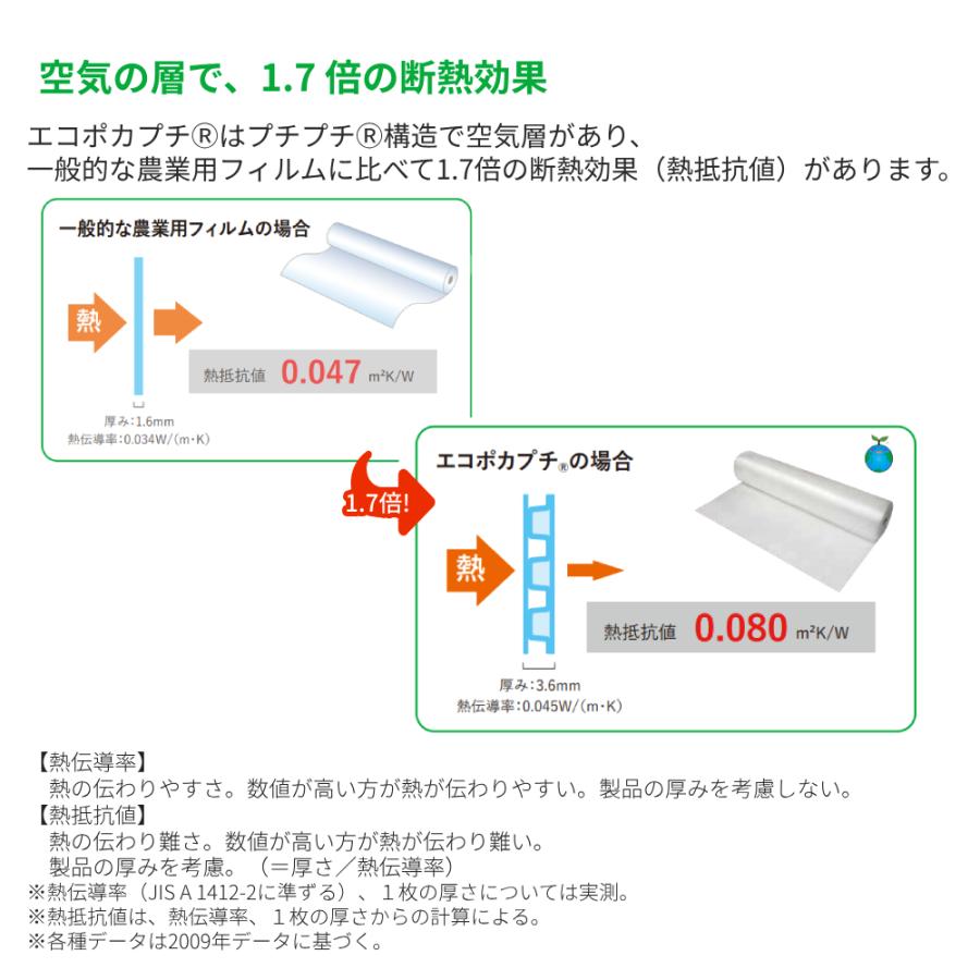 エ d37L 2400mm幅x100m巻