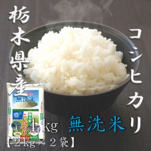 米 お米 令和5年産 無洗米 栃木県 コシヒカリ 2kg×2袋 合計 4kg