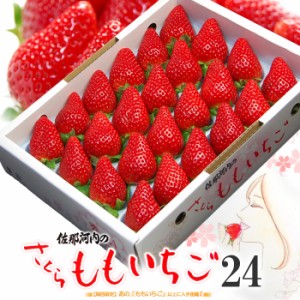 さくらももいちご (24粒 約700g) 徳島県 佐那河内産 いちご 化粧箱 ももいちご サクラ さくら 桃 苺 桜 サクラ 贈答用 ギフト 高級いちご