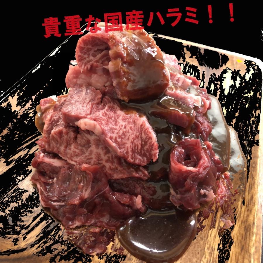 有田牧場　和牛入国産牛タレ漬けハラミ 700g(350g×2パック） 送料無料（北海道・沖縄除く）