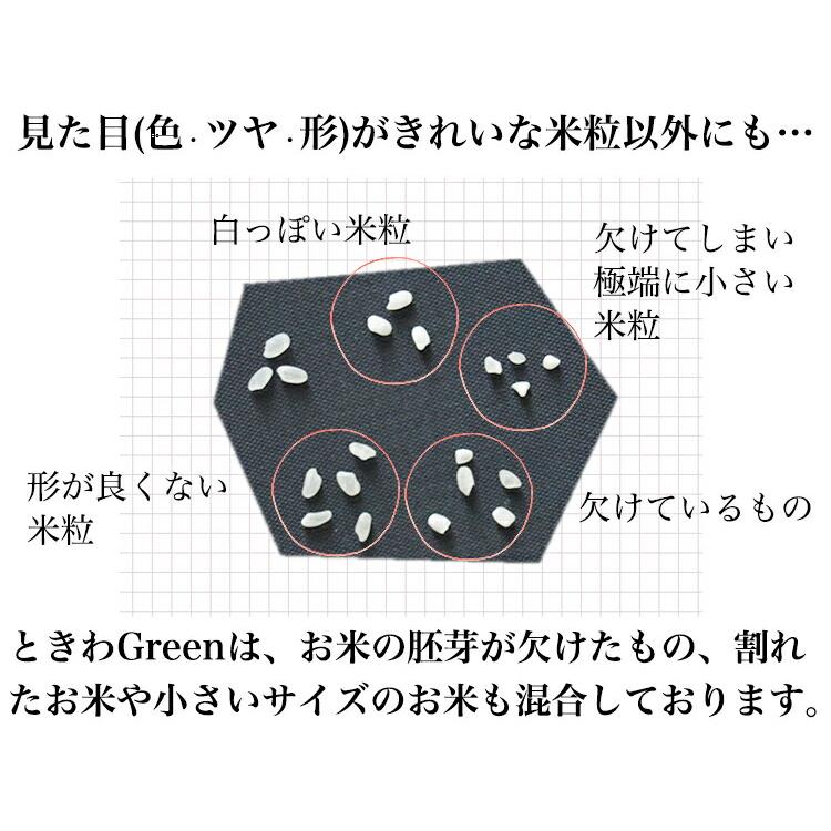 新米 米 20kg 5年産 青森県産 ときわGreen 白米20kg（5kg×4袋）小分け 人気 安い 精米