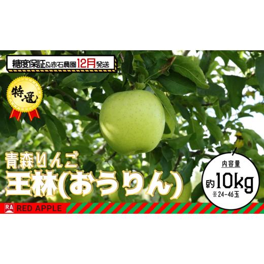 ふるさと納税 青森県 弘前市 13度糖度保証 特選 王林 約10kg