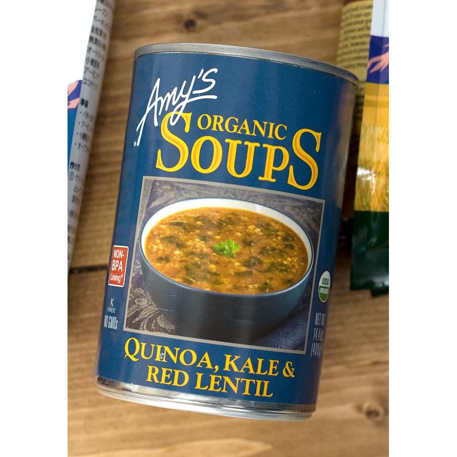 オーガニック ALISHAN 缶詰 スープ ローファット キヌア ケール レンティル Quinoa Kale Lentil Soup (Aｍｙ’s