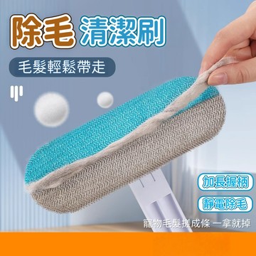【台灣出貨】靜電除毛刷 清潔刷 除毛刷 貓條刷 高效除毛清潔刷 除毛清潔專家 除毛清潔刷 貓咪除毛刷 寵物除貓毛 除貓毛