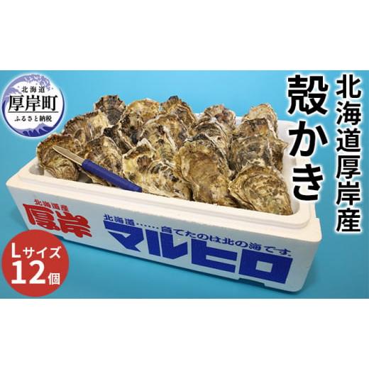 ふるさと納税 北海道 厚岸町 厚岸産 殻かき L12個セット 北海道 牡蠣 カキ かき  生牡蠣 殻付[No.5863-0916]