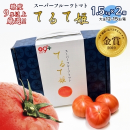  てるて姫 中箱 約1.2kg × 2箱 糖度9度 以上 野菜 フルーツトマト フルーツ トマト とまと [AF038ci]