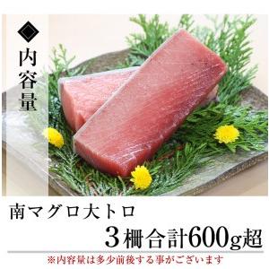 ふるさと納税 天然南マグロ 大トロ600g超！（南マグロ大トロ3柵 計600g以上）訳ありのため数量限定でご案内 訳アリ マグロ 鹿児島県いちき串木野市