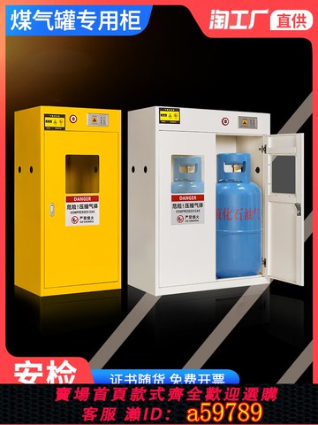 【全網低價 可打統編】全鋼防爆氣瓶柜安全柜雙瓶液化煤氣罐實驗室工業乙炔汽鋼瓶儲存柜