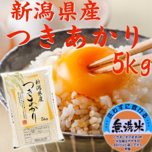 新米 令和5年 無洗米 5kg 新潟産 つきあかり 無洗米 5kg 新潟県産 米5キロ お米 5kg 無洗米《無洗米５キロ お米 5kg 安い米 5キロ 農家直