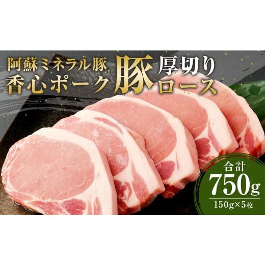 ふるさと納税 熊本県 菊陽町  豚 ロース ステーキ 厚切り 5枚 セット 計750g 豚肉