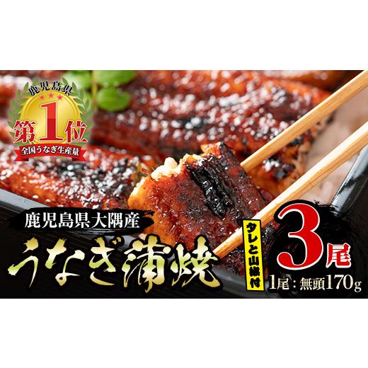 ふるさと納税 鹿児島県 鹿屋市 1387 大隅特産うなぎ蒲焼３尾（510ｇ）