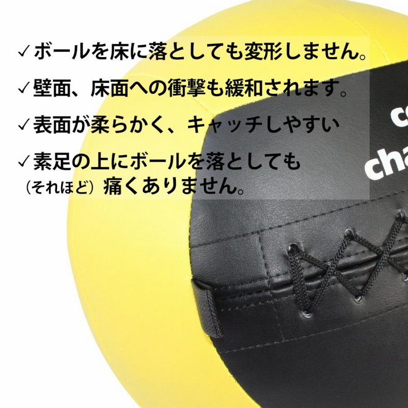ソフトメディシンボール 3kg ウォールボール マニュアル付 体幹