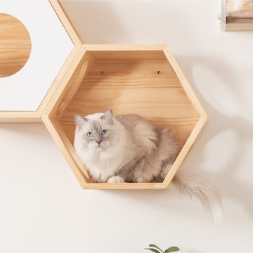 六角貓跳台 Busycat-原木