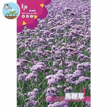 【原廠包裝】馬鞭草種子約8000粒 紫色花海必備 陽台盆栽庭院造景 蜜源植物 香草茶DIY 新手友善 台灣氣候可播