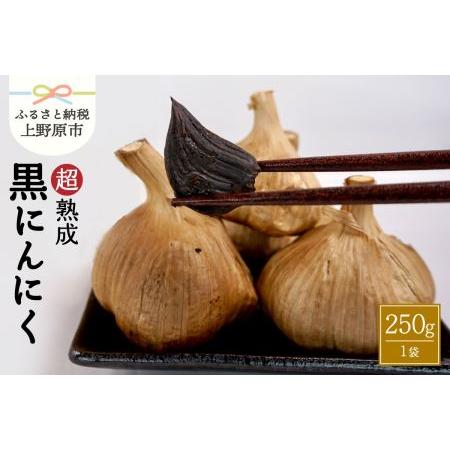 ふるさと納税 超熟成黒にんにく(250g×1袋セット) 山梨県上野原市