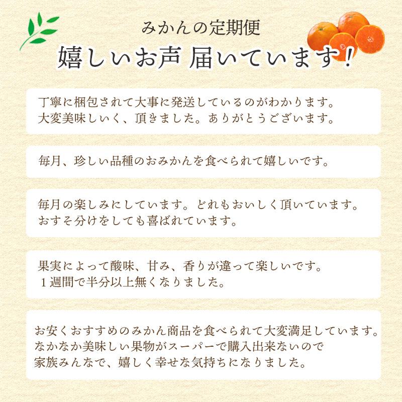 みかん かんきつ 定期便 全12回 訳あり ご家庭用 愛媛産  高級 希少 まどんな 甘平 せとか 頒布会