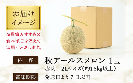 秋 アールスメロン 1玉（約1.6kg以上） 高級メロン！ ／ マスクメロン 大玉 果物 フルーツ 夏 ギフト 農家直送 ※2024年9月中旬以降発送