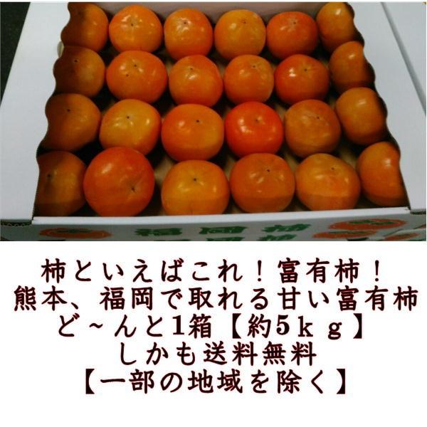 富有柿　訳あり　約5ｋｇ　サイズ3Ｌ〜Ｓ　2箱購入で1箱おまけ！！熊本・福岡産　80サイズ