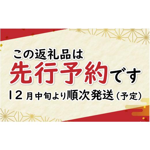 ふるさと納税 福井県 福井市 B 越前産せいこがに甲羅盛り（80g前後 × 2個）合計2個 [B-096004_02]