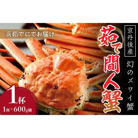 ふるさと納税  京丹後産 茹で間人蟹（中） 鮮度抜群、浜茹でにてお届け！！ 600g級×1杯 京都府京丹後市