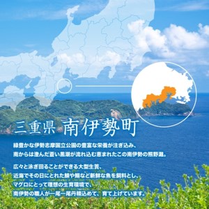 （冷凍） 本まぐろ 赤身 中トロ 大トロ お醤油 詰合せ３～４人前 伊勢志摩まぐろ食堂 ／ 本鮪 豪華セット 本鮪 お刺身専用 醤油 粗びき塩 三重県 南伊勢町