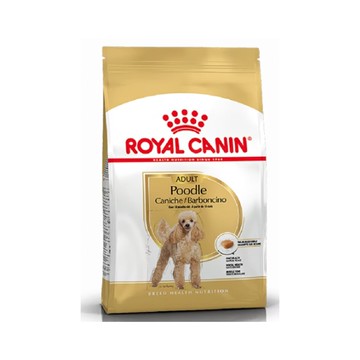 BHN 皇家貴賓成犬PDA 1.5KG(下單後10個工作天寄出)