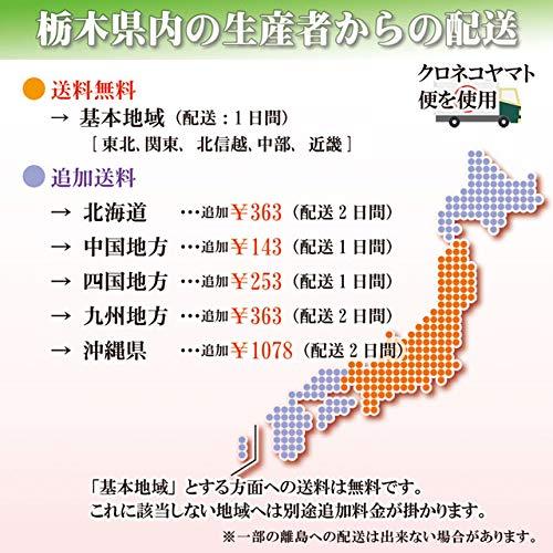 新米 米 お米 コシヒカリ こしひかり 5kg 無洗米 少ない農薬 少ない化学肥料 2022年産 須永農園 栃木 産直 コメ こめ おこめ