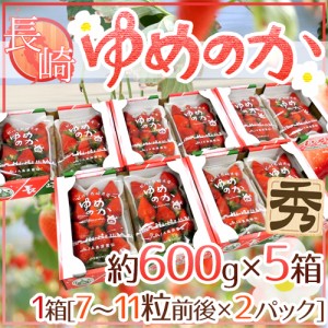 長崎産イチゴ ”ゆめのかいちご” 約600g×5箱（1箱あたり約300g×2pc） 送料無料