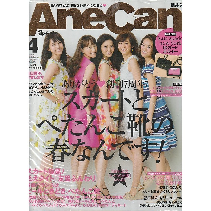 AneCan　2014年4月号　姉キャン　アネキャン　雑誌