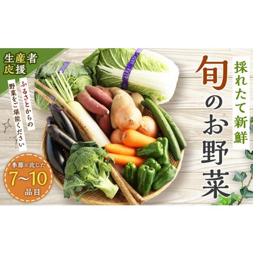 ふるさと納税 熊本県 西原村 生産者応援 採れたて新鮮 旬のお野菜 詰め合わせセット