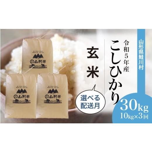 ふるさと納税 山形県 鮭川村 令和5年産　鮭川村　コシヒカリ30kg定期便（10kg×3回発送）