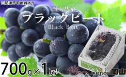 ブラックビート 約700g×1房 ぶどう 葡萄 岡山県産 2023年