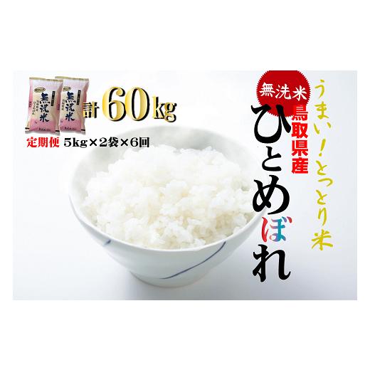 ふるさと納税 鳥取県 倉吉市 ＜無洗米＞鳥取県産ひとめぼれ６回定期便（10kg×6回）