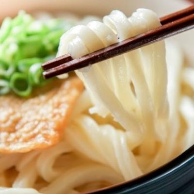 ふるさと納税 養老町 低糖質麺 うどん 2700g(約27人前)