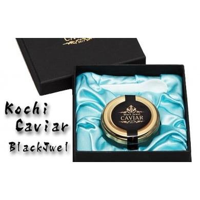 ふるさと納税 高知県 芸西村 高知産熟成キャビア30g(化粧箱)シェルスプーン付Black　Jewel＜高知市共通返礼品＞