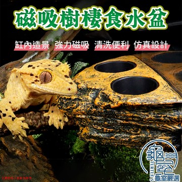 PJ小舖 磁吸樹棲食水盆 樹棲水盆 樹棲食盆 爬蟲食盆 果泥盆 飼料盆 爬蟲餵食盆 爬蟲造景 樹棲爬蟲 守宮 蜘蛛 樹蛙