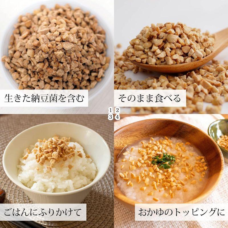 自然健康社 乾燥納豆 100g ドライ納豆 ひきわり 無添加 国産