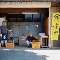  庄七農園 限定 熟成 焼き栗 500g  栗 くり 焼栗 おやつ スイーツ 茨城 和栗 美味しい 果物 フルーツ [BK05-NT]