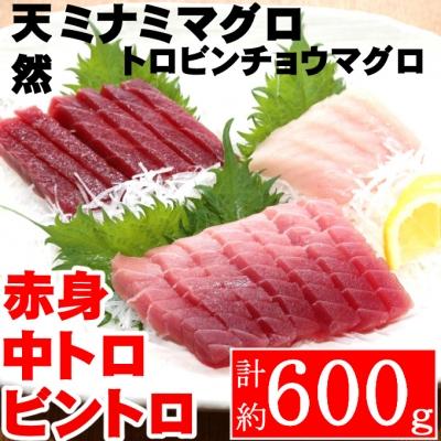 ふるさと納税 室戸市 こだわりの天然ミナミマグロビントロセット　ミナミマグロ中トロ赤身各1柵　 ビントロ1柵