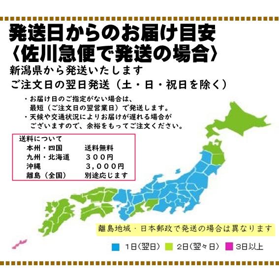 新米 白米 5kg 新潟 特別栽培米 コシヒカリ 令和5年 米 お米 農家直送  糸魚川 能生米 送料無料